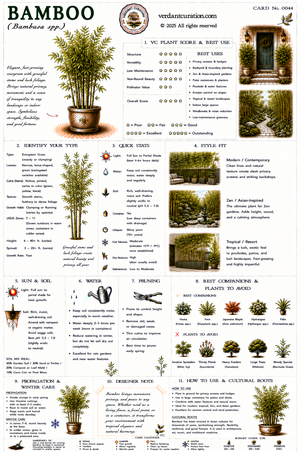 Bamboo Plant Care Card &mdash; VC Score, Quick Stats, Care Guide, Companions, and Designer Notes