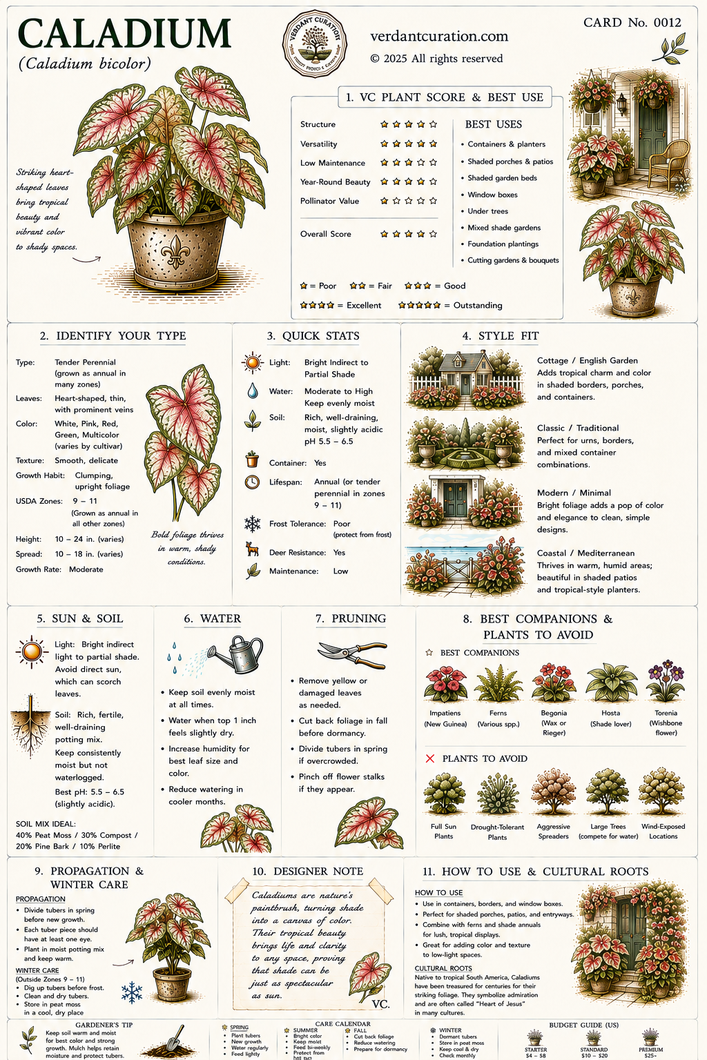 Caladium Plant Care Card &mdash; VC Score, Quick Stats, Care Guide, Companions, and Designer Notes