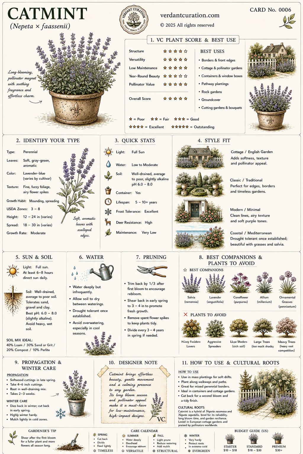 Catmint Plant Care Card &mdash; VC Score, Quick Stats, Care Guide, Companions, and Designer Notes