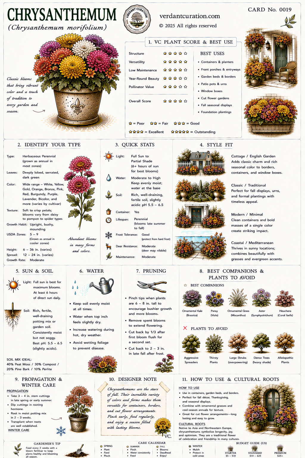 Chrysanthemum Plant Care Card &mdash; VC Score, Quick Stats, Care Guide, Companions, and Designer Notes