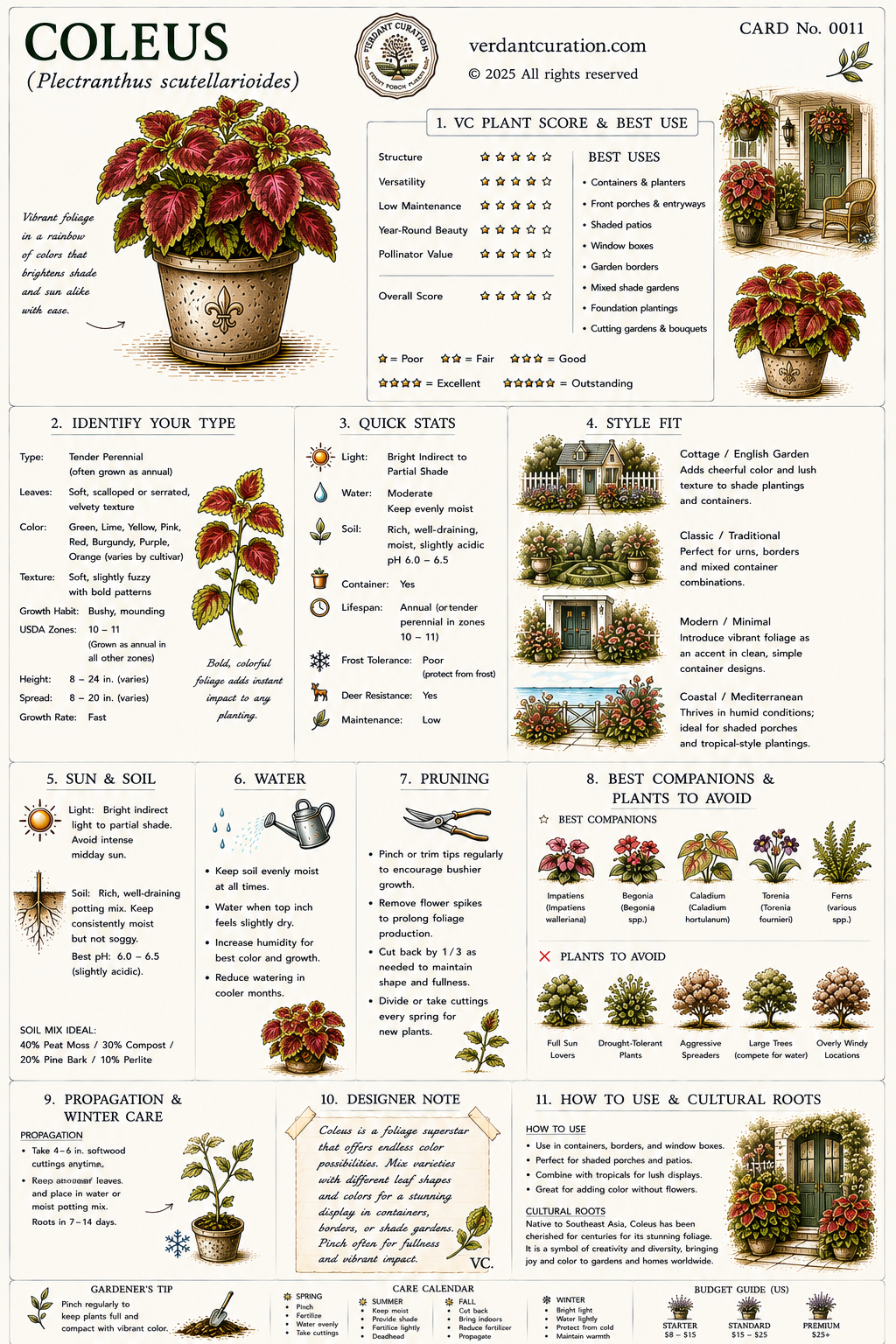 Coleus Plant Care Card &mdash; VC Score, Quick Stats, Care Guide, Companions, and Designer Notes