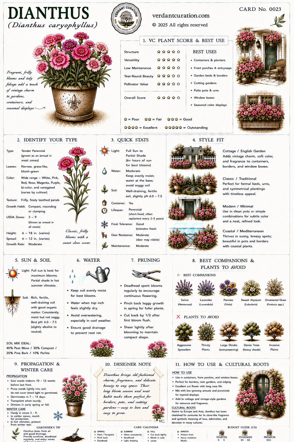 Dianthus Plant Care Card &mdash; VC Score, Quick Stats, Care Guide, Companions, and Designer Notes