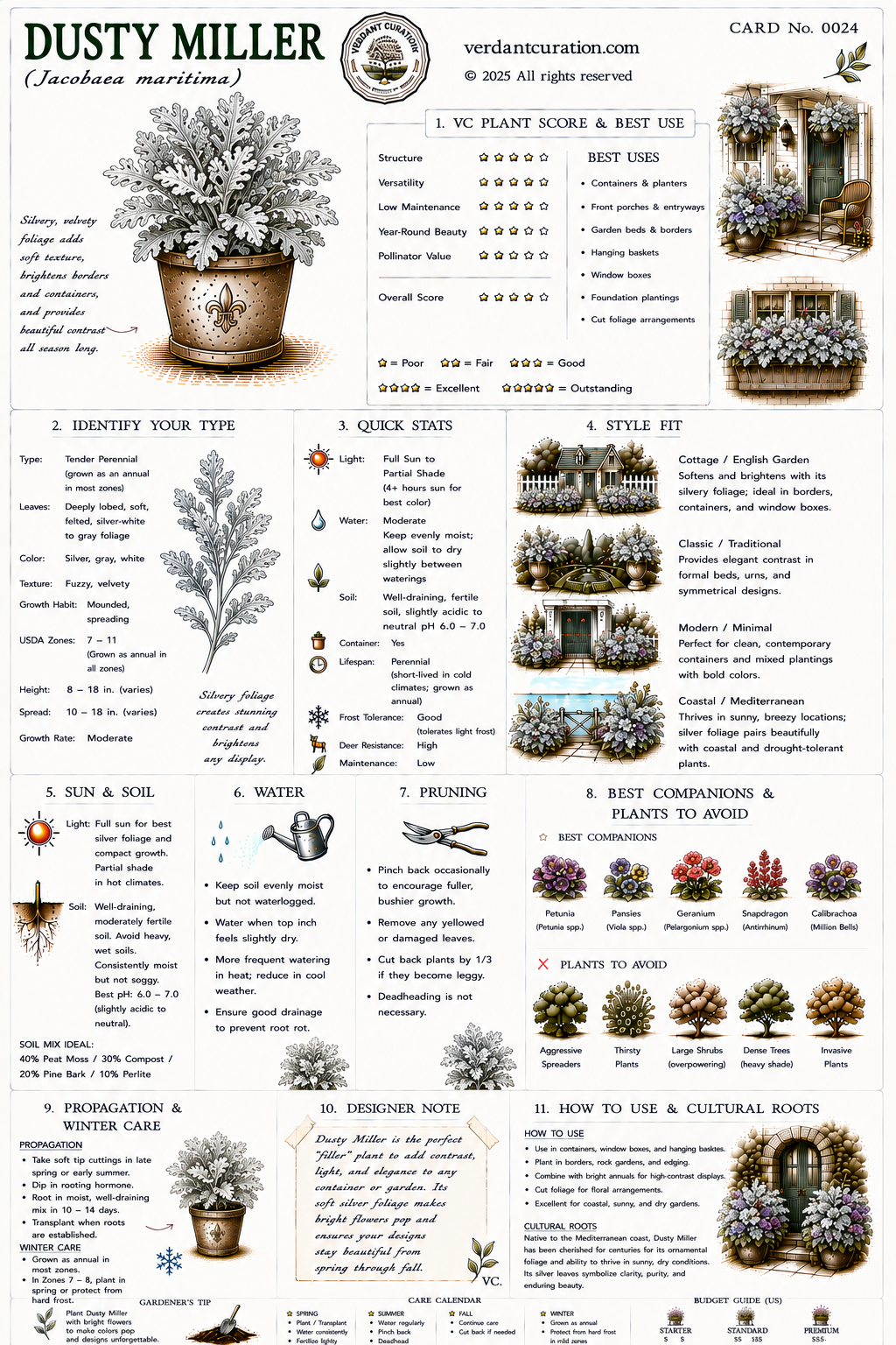 Dusty Miller Plant Care Card &mdash; VC Score, Quick Stats, Care Guide, Companions, and Designer Notes