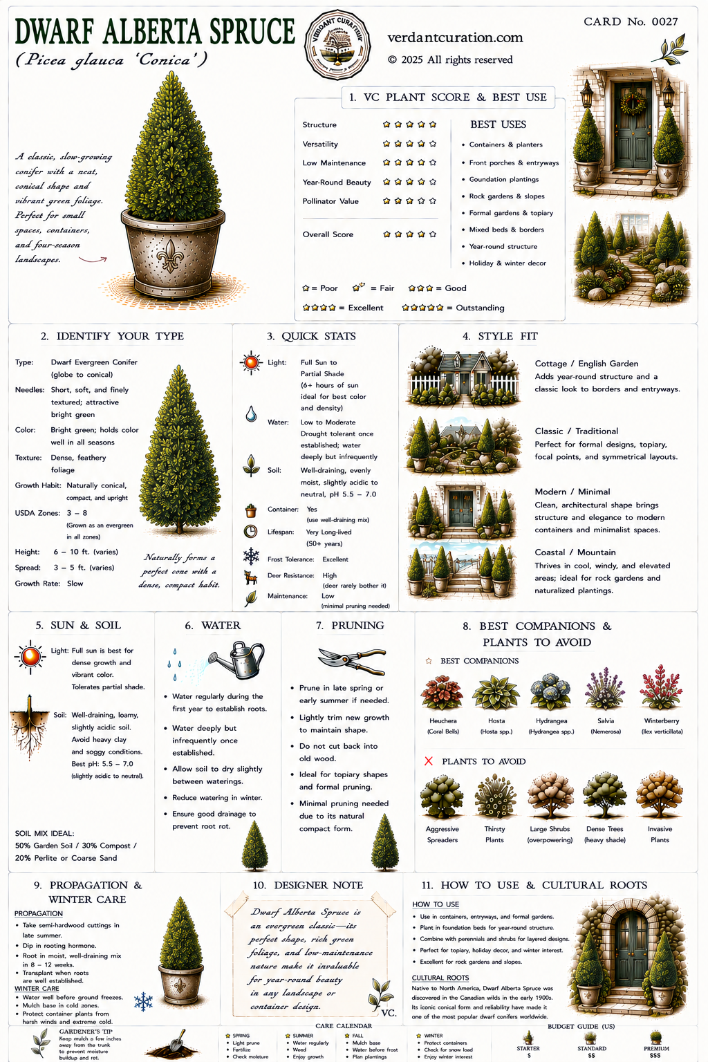 Dwarf Alberta Spruce Plant Care Card &mdash; VC Score, Quick Stats, Care Guide, Companions, and Designer Notes