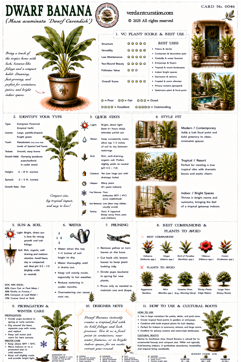 Dwarf Banana Plant Care Card &mdash; VC Score, Quick Stats, Care Guide, Companions, and Designer Notes