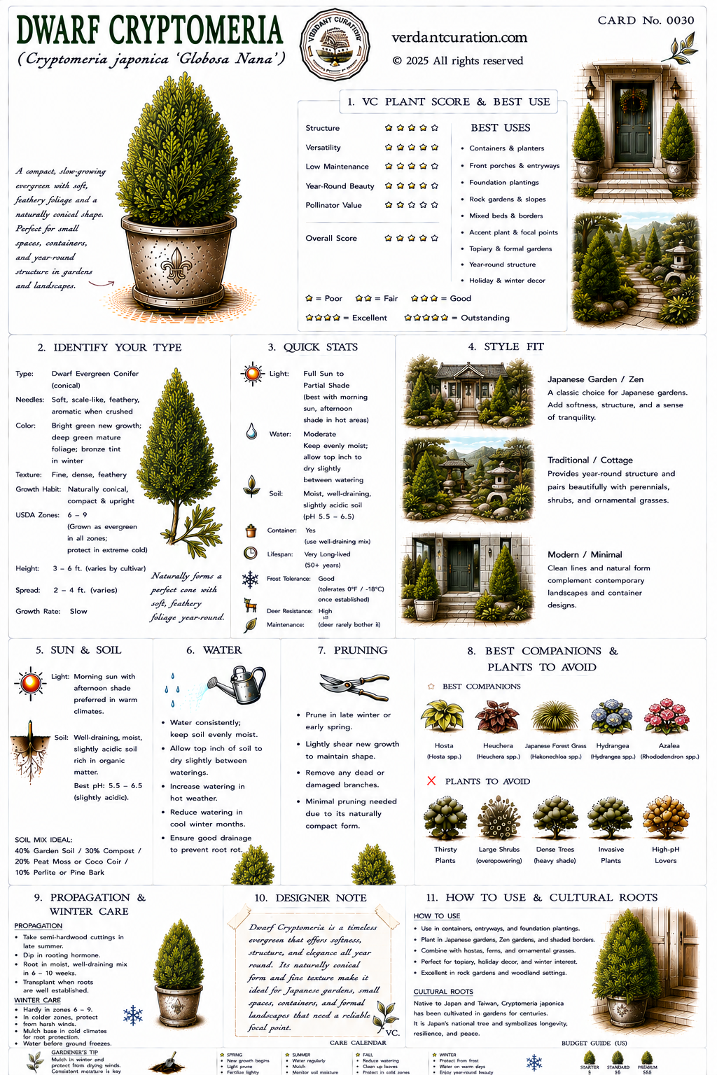 Dwarf Cryptomeria Plant Care Card &mdash; VC Score, Quick Stats, Care Guide, Companions, and Designer Notes