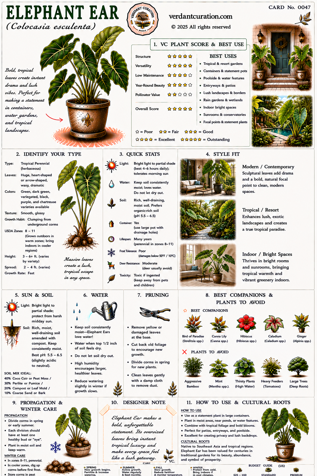 Elephant Ear Plant Care Card &mdash; VC Score, Quick Stats, Care Guide, Companions, and Designer Notes
