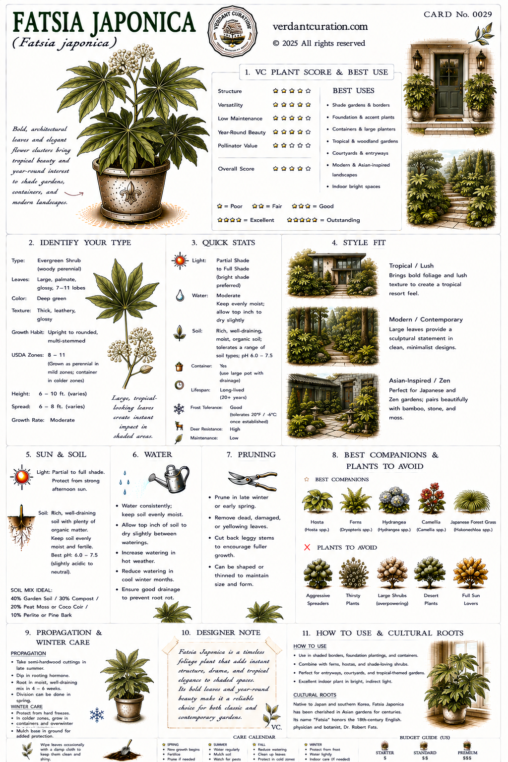 Fatsia Japonica Plant Care Card &mdash; VC Score, Quick Stats, Care Guide, Companions, and Designer Notes