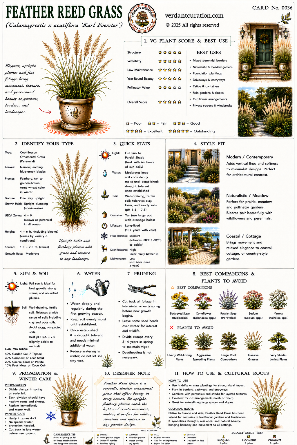 Feather Reed Grass Plant Care Card &mdash; VC Score, Quick Stats, Care Guide, Companions, and Designer Notes
