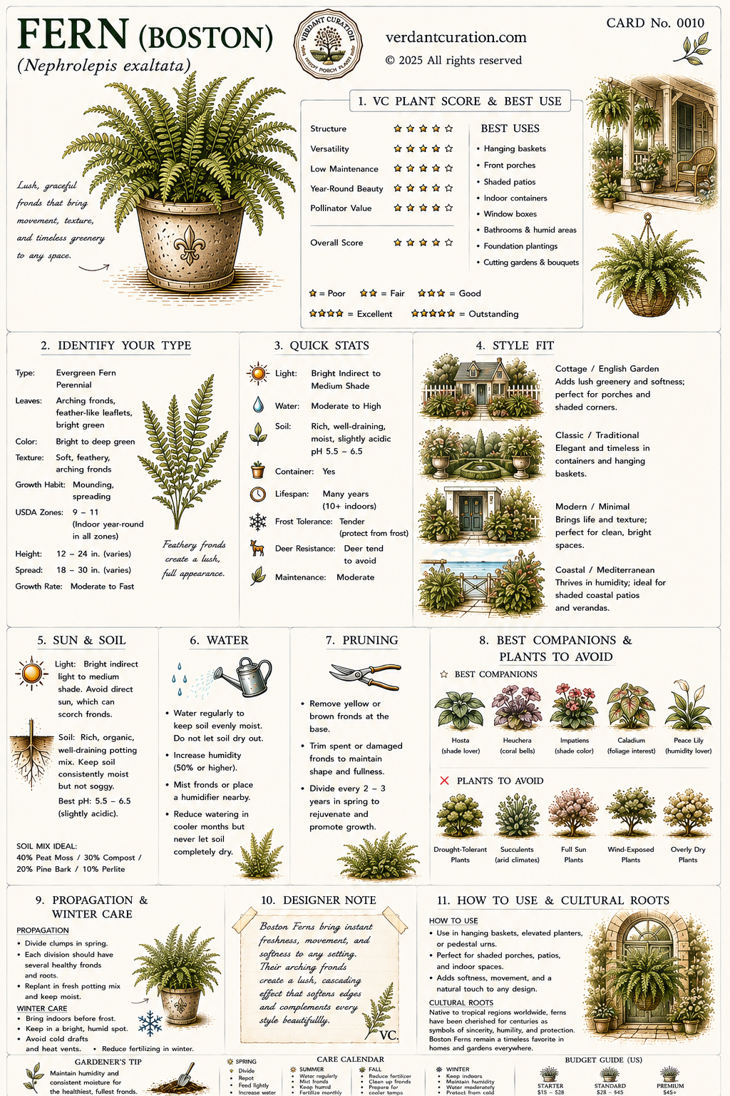 Fern (Boston) Plant Care Card &mdash; VC Score, Quick Stats, Care Guide, Companions, and Designer Notes