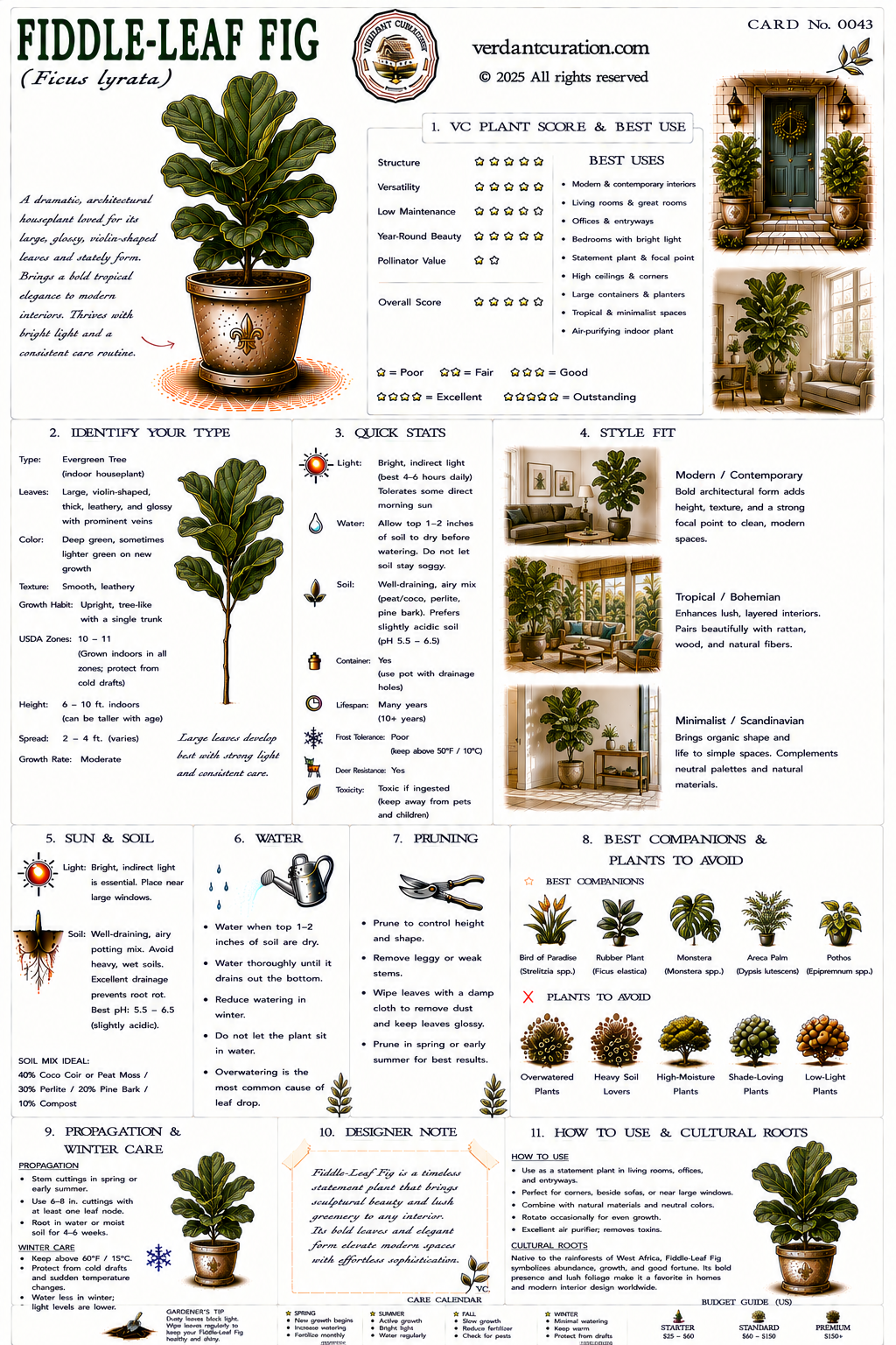Fiddle Leaf Fig Plant Care Card &mdash; VC Score, Quick Stats, Care Guide, Companions, and Designer Notes