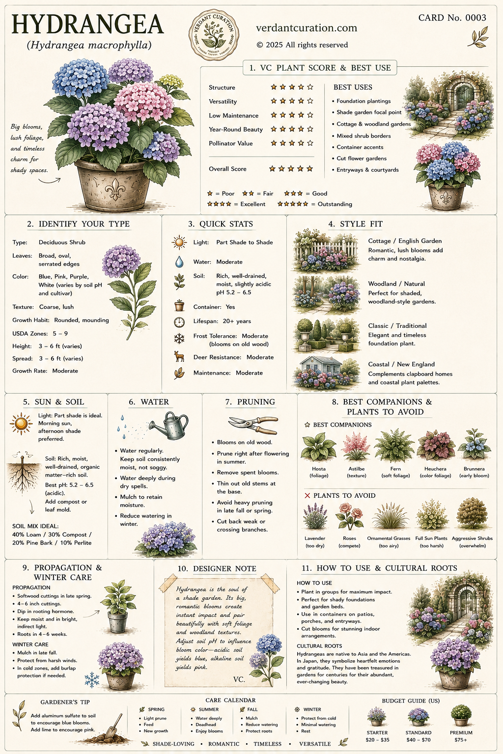 Hydrangea Plant Care Card &mdash; VC Score, Quick Stats, Care Guide, Companions, and Designer Notes