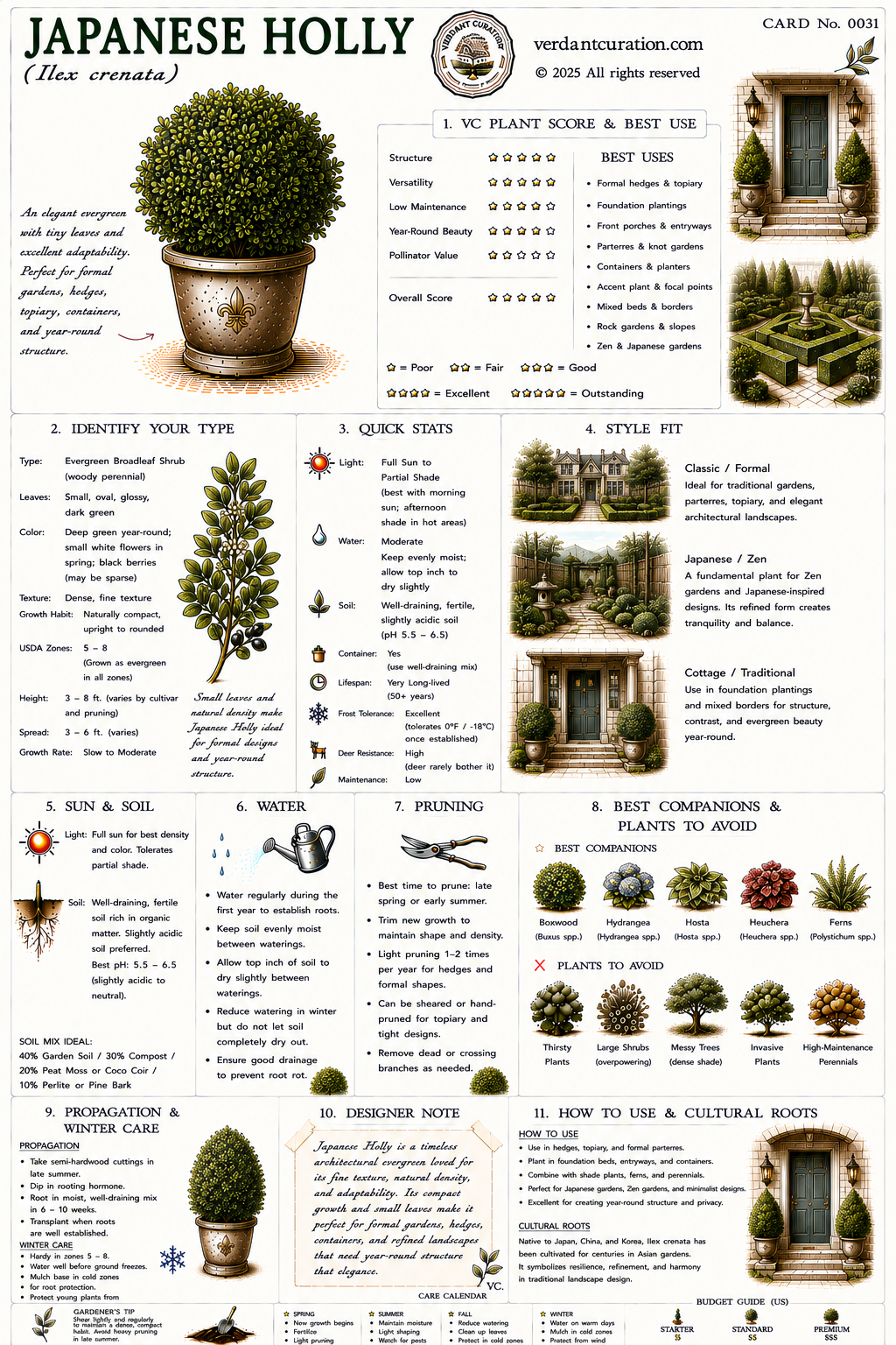 Japanese Holly Plant Care Card &mdash; VC Score, Quick Stats, Care Guide, Companions, and Designer Notes