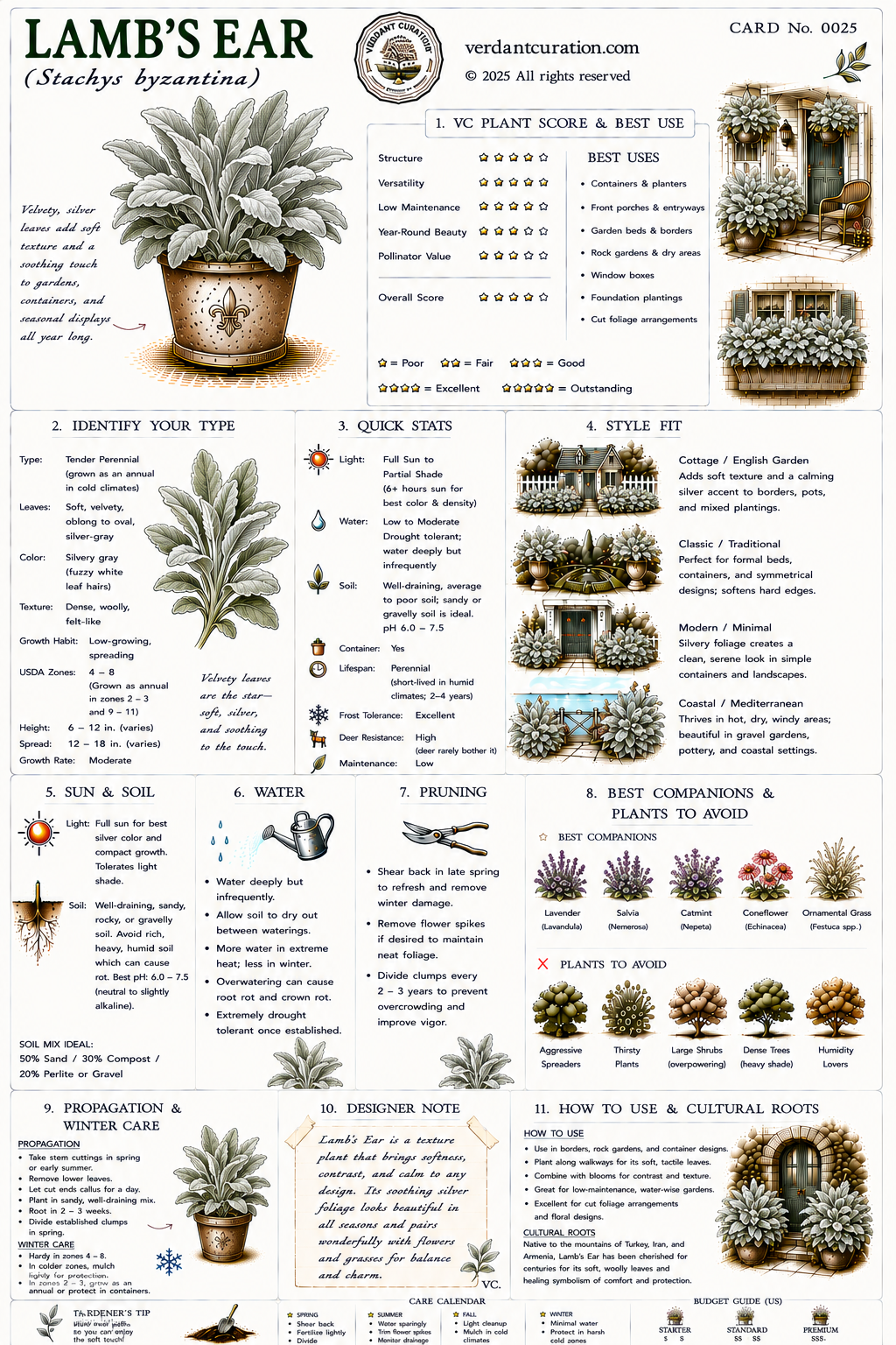 Lamb's Ear Plant Care Card &mdash; VC Score, Quick Stats, Care Guide, Companions, and Designer Notes