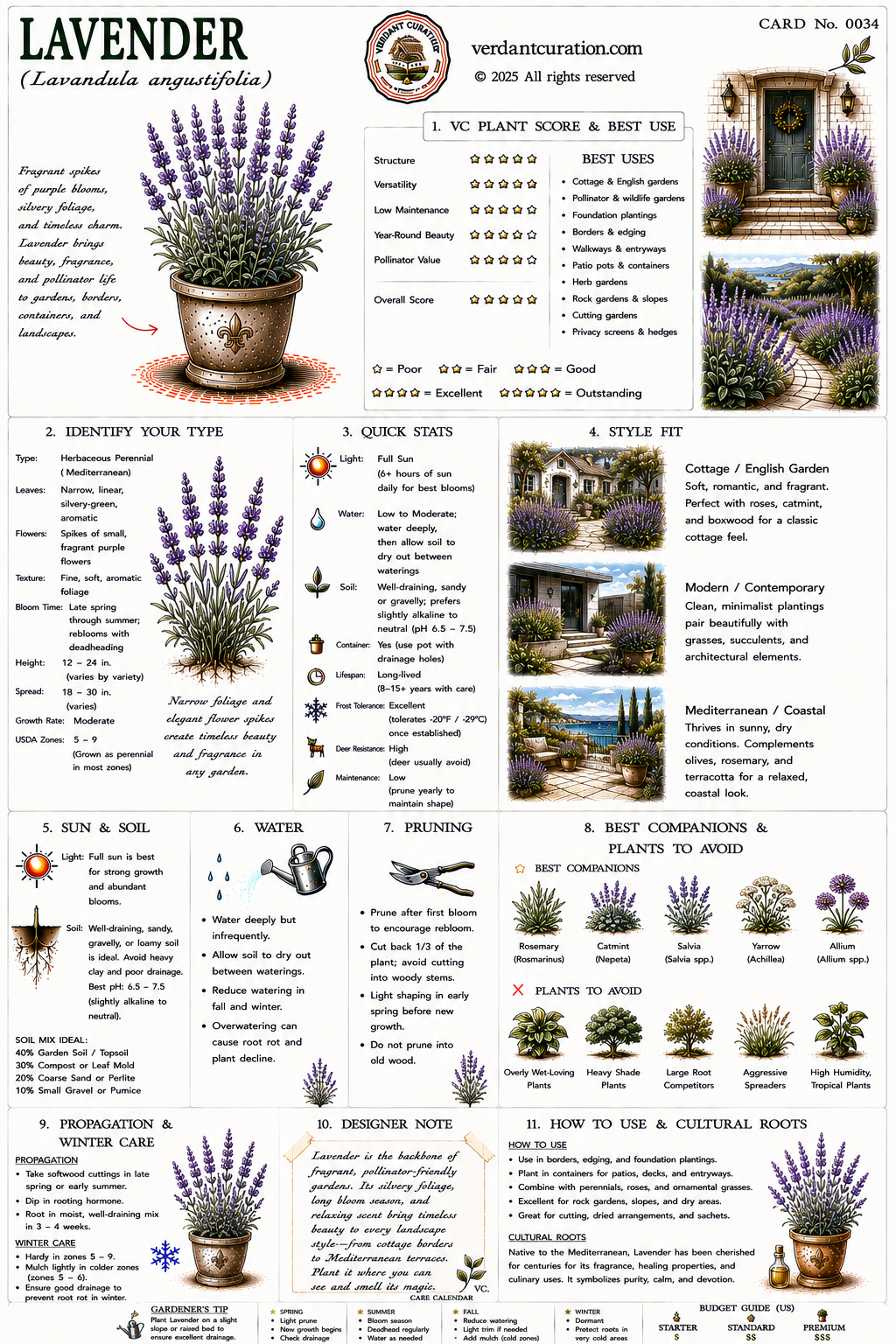 Lavender Plant Care Card &mdash; VC Score, Quick Stats, Care Guide, Companions, and Designer Notes