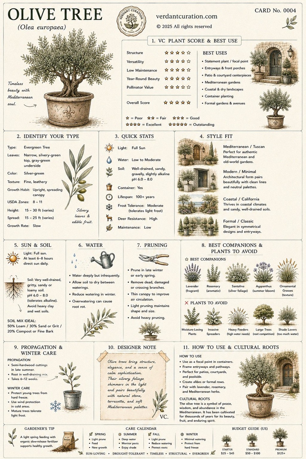Olive Tree Plant Care Card — VC Score, Quick Stats, Care Guide, Companions, and Designer Notes