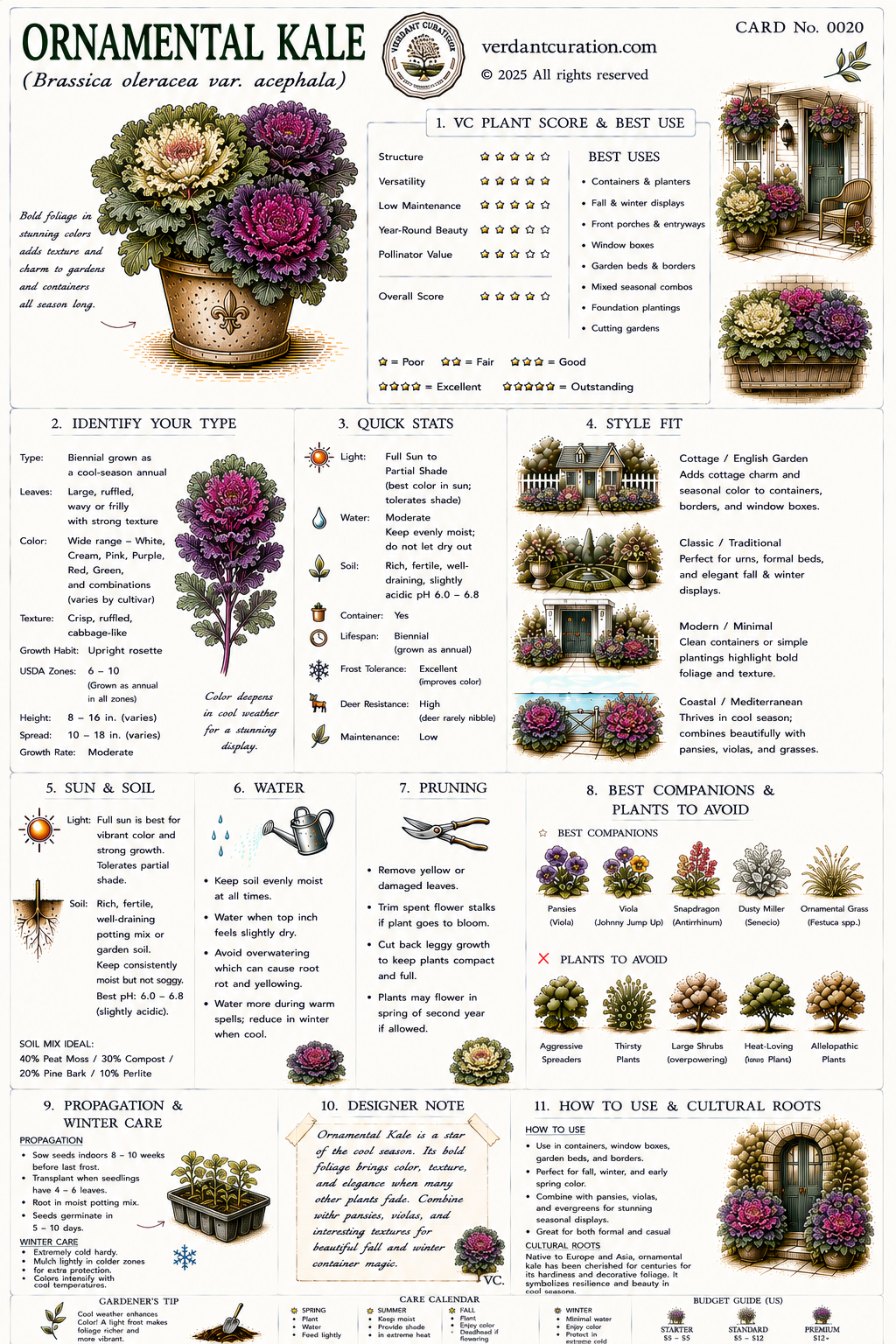 Ornamental Kale Plant Care Card &mdash; VC Score, Quick Stats, Care Guide, Companions, and Designer Notes