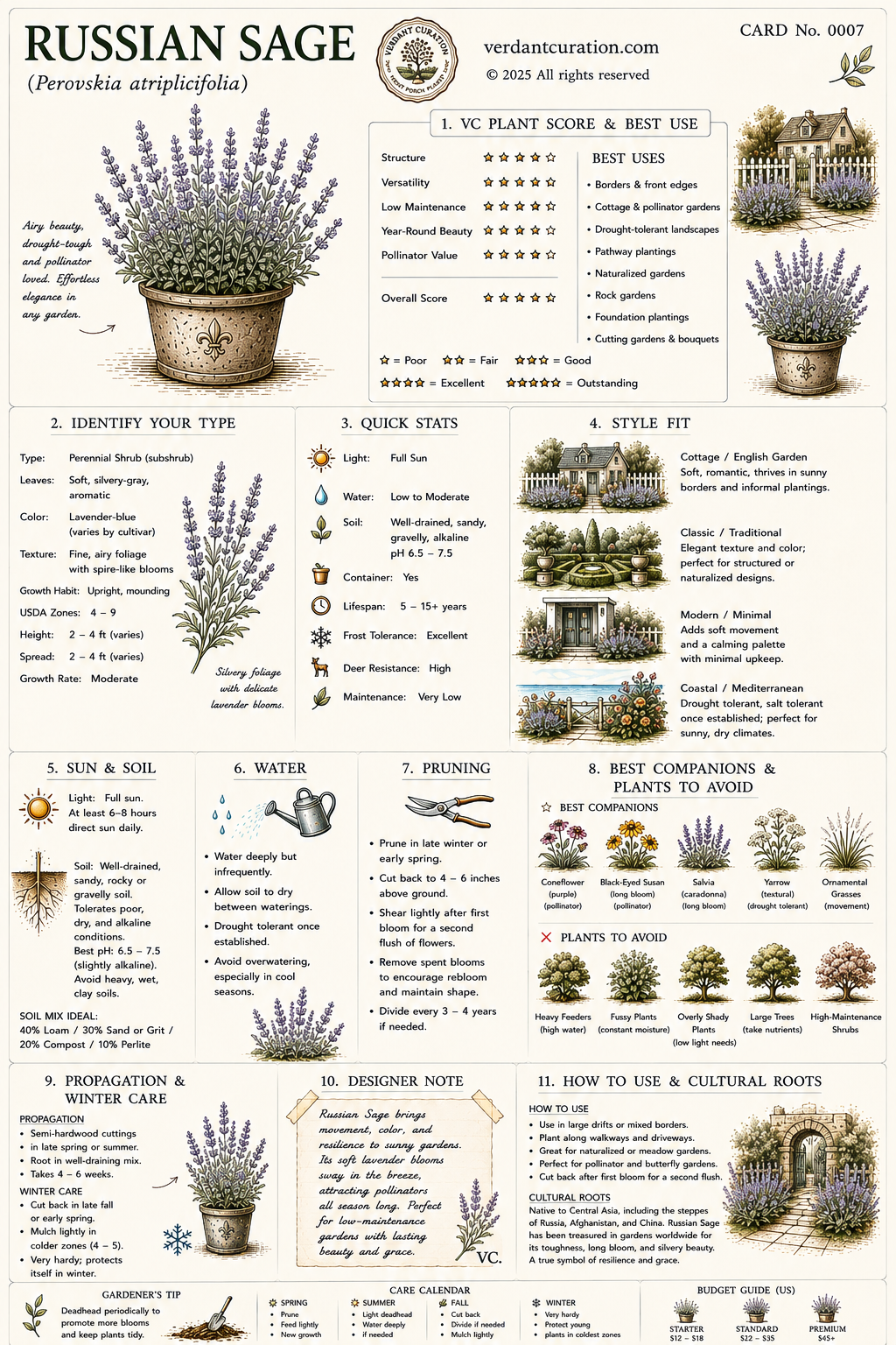 Russian Sage Plant Care Card &mdash; VC Score, Quick Stats, Care Guide, Companions, and Designer Notes