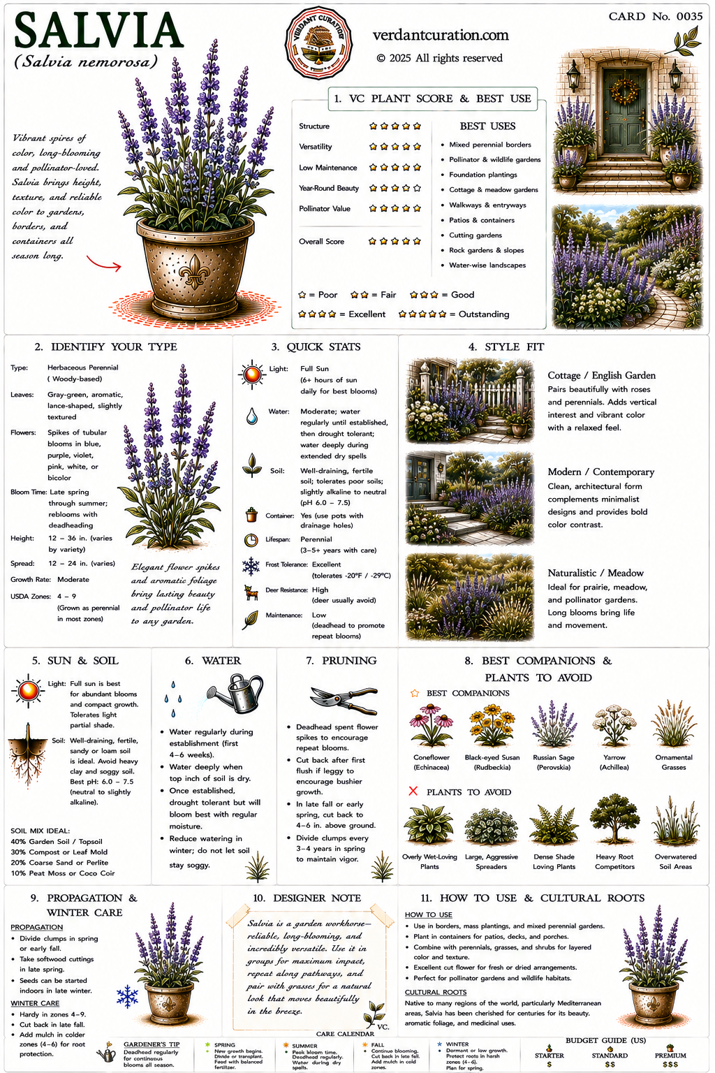 Salvia Plant Care Card &mdash; VC Score, Quick Stats, Care Guide, Companions, and Designer Notes