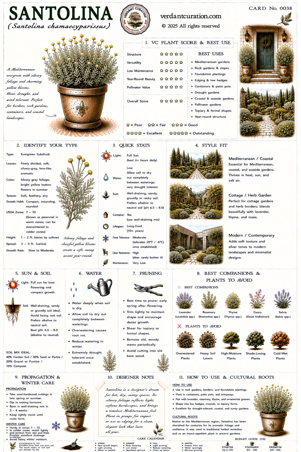 Santolina Plant Care Card &mdash; VC Score, Quick Stats, Care Guide, Companions, and Designer Notes