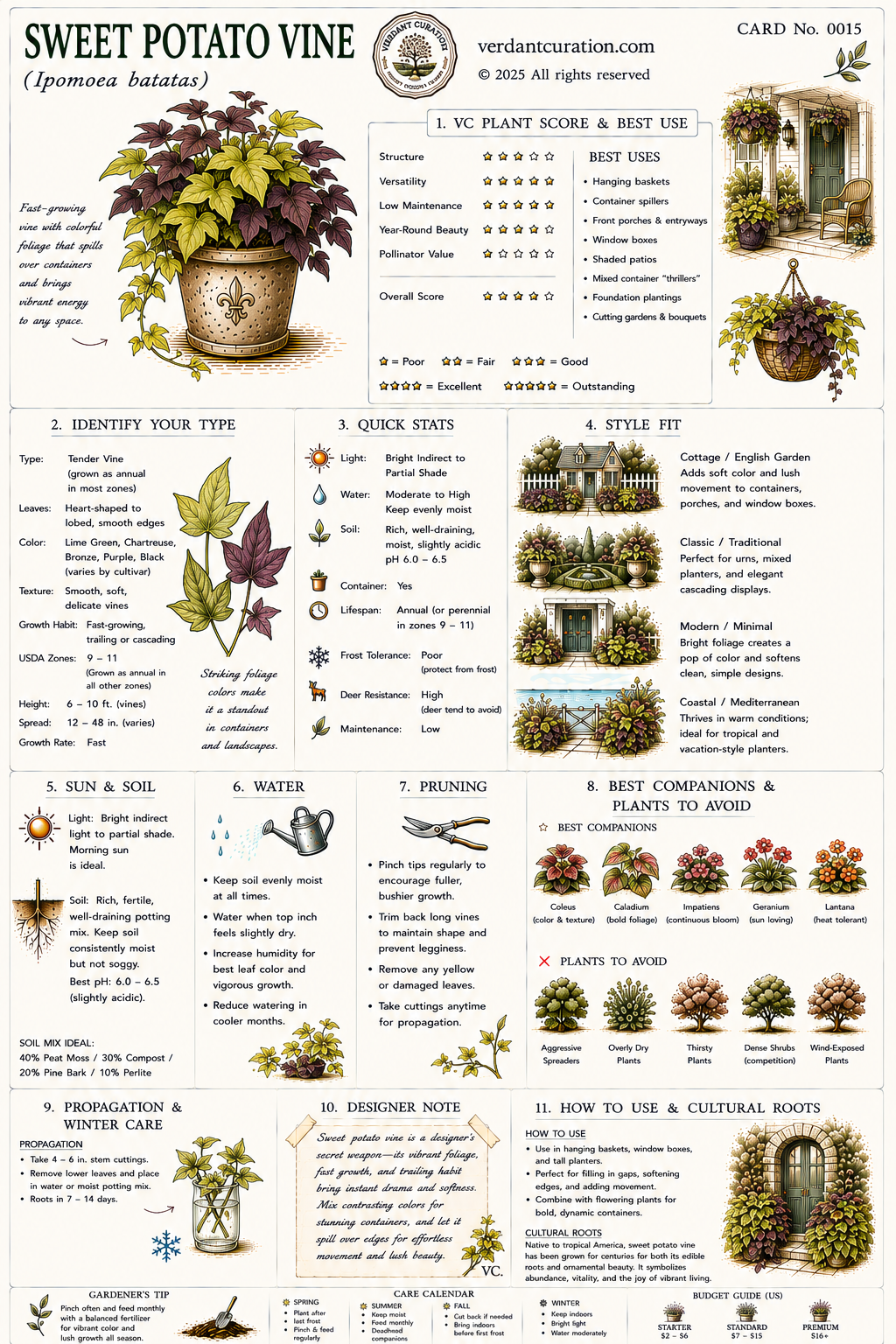 Sweet Potato Vane Plant Care Card &mdash; VC Score, Quick Stats, Care Guide, Companions, and Designer Notes